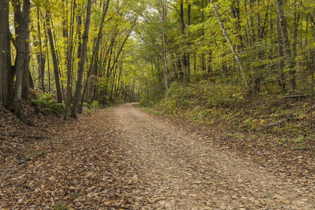 Biking and hiking trails can be found on and off the grounds of our Wisconsin Bed and Breakfast and its cabins in Wisconsin.